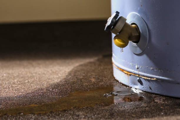 Reliable Country Homes, WA Water damage restoration Solutions