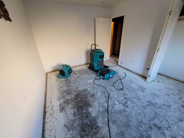 Best Sewage cleanup and water damage restoration  in Country Homes, WA