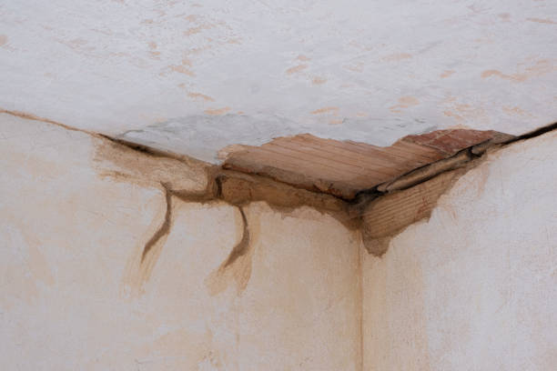  Country Homes, WA Water damage restoration Pros
