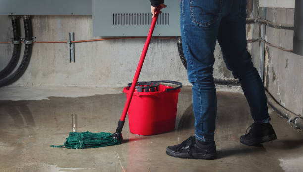Best Local water damage restoration  in Country Homes, WA