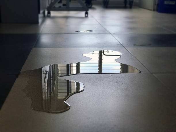 Best 24-hour water damage restoration  in Country Homes, WA