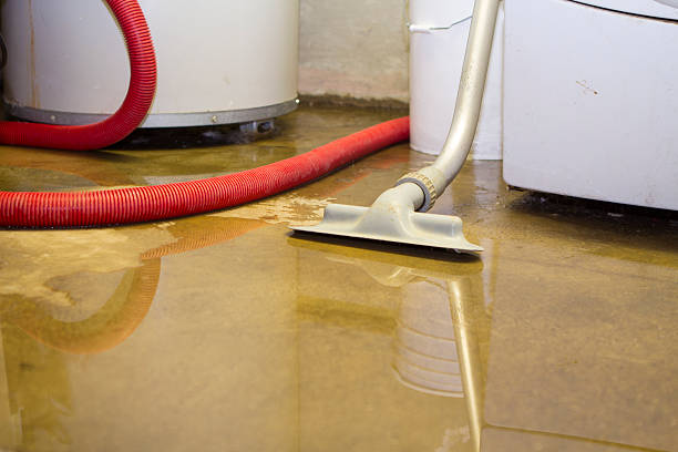 Best Basement water damage restoration  in Country Homes, WA