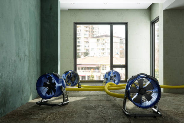 Best Water damage contractors near me  in Country Homes, WA